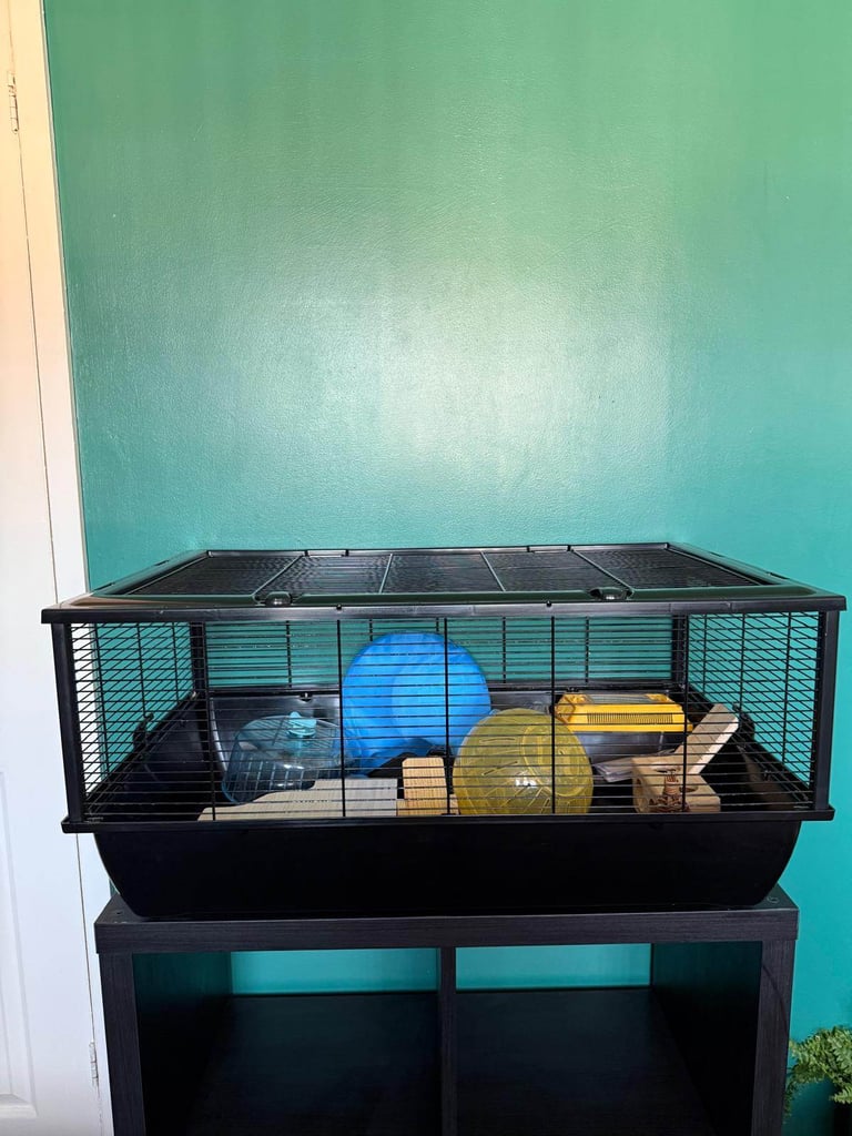 Large and Small Hamster Cage - Set of 2