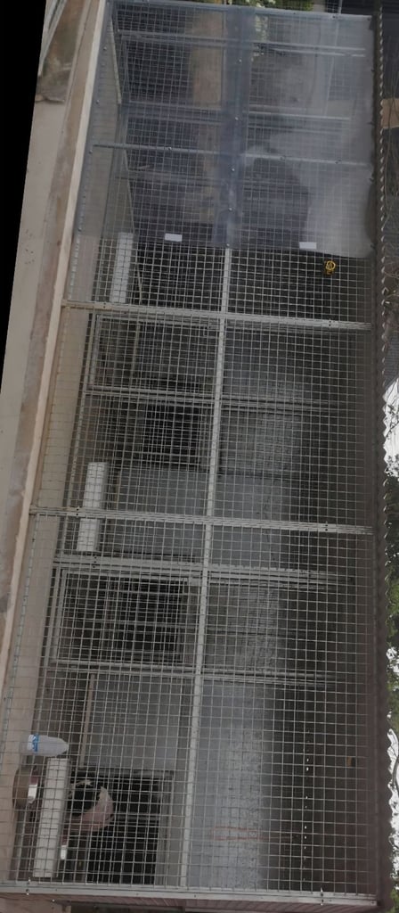 KM Dog galvanised run cage set up boxes 