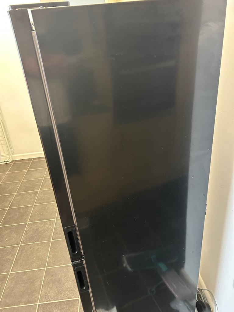 Black swan fridge freezer