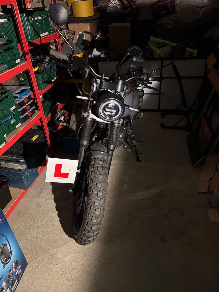 image for Mutt HILTS, 2023, 125 (cc) (grey)