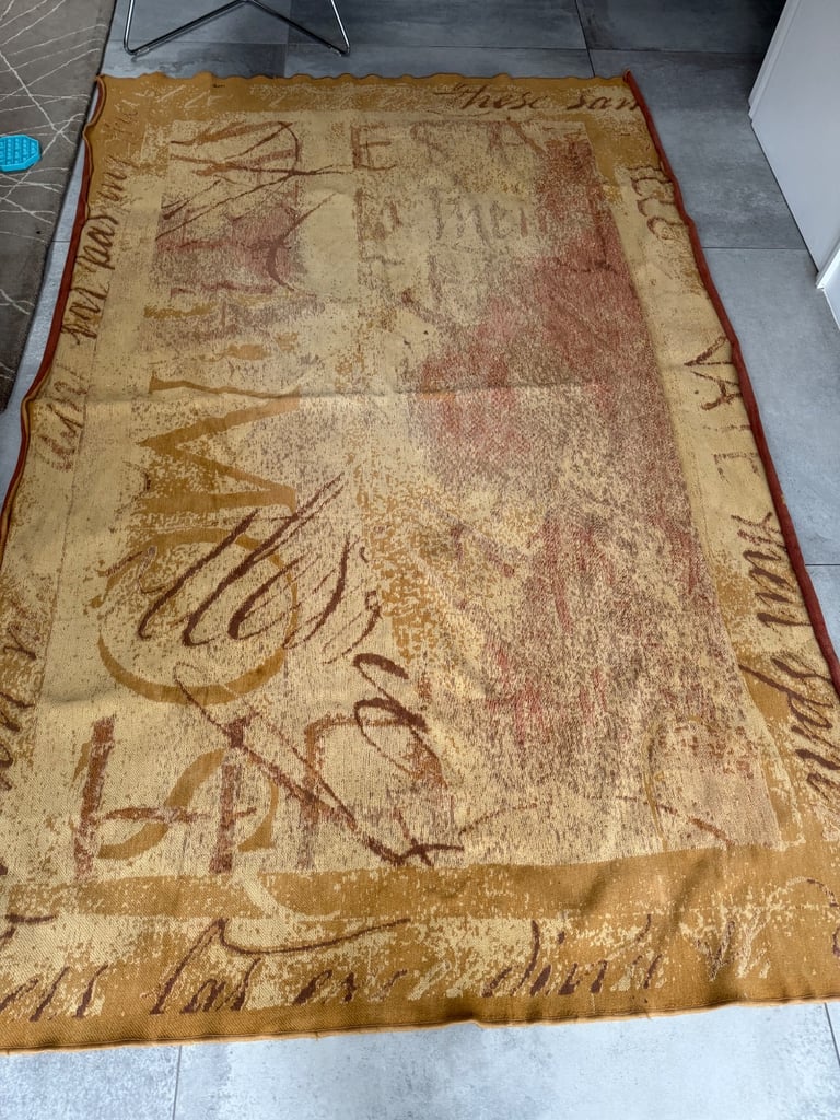 Beautiful rug from M&S 