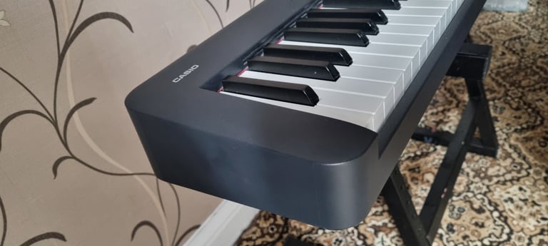 Casio CDP S100 Digital Piano. £255 on Amazon