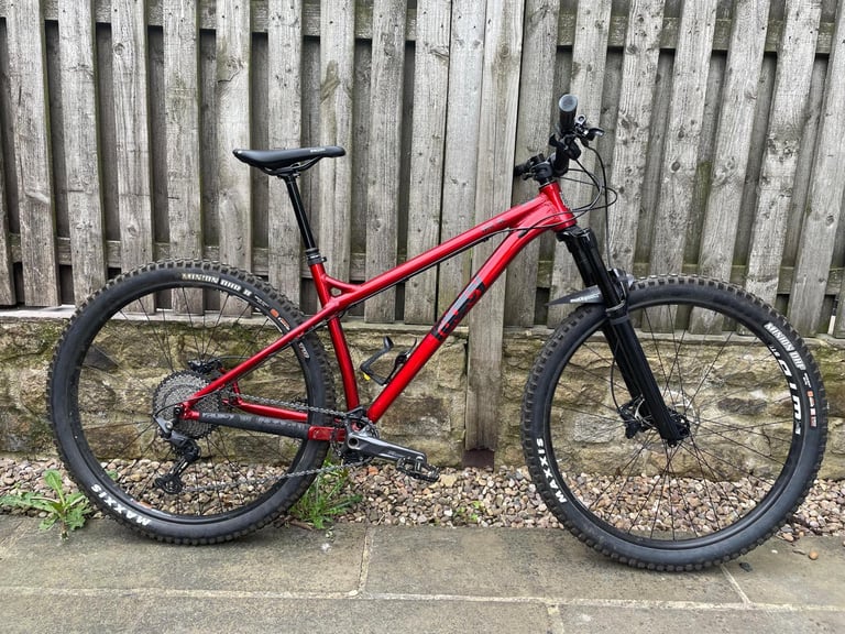 image for Ragley Big Al 2021 Large