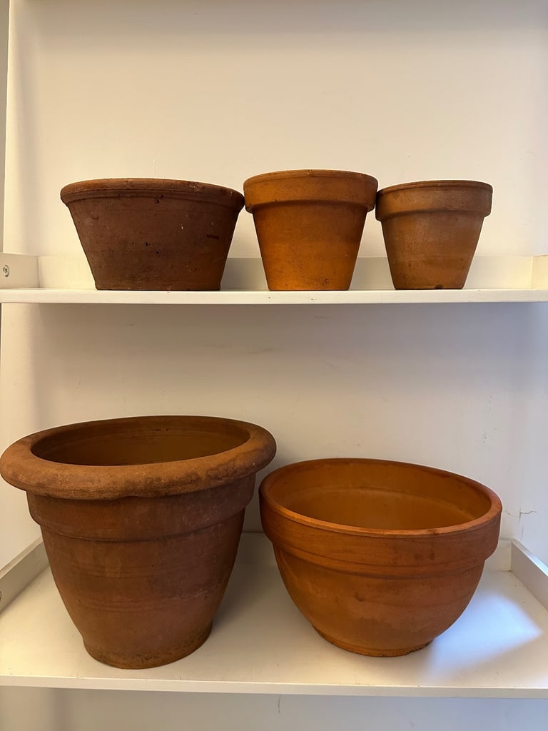 image for 5 terracotta plant pots 