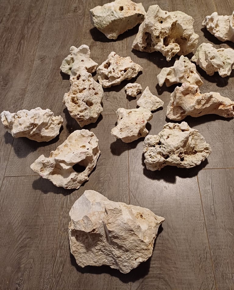 Ocean Rock