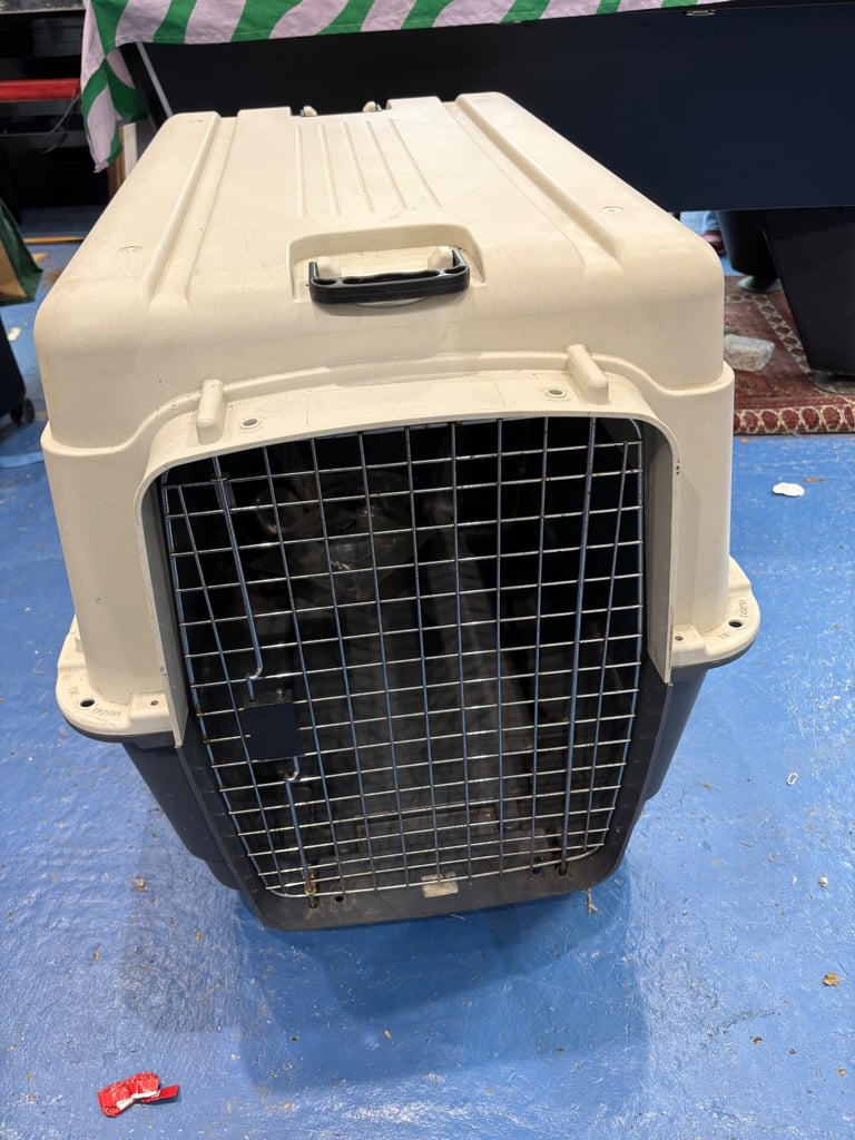 Large plastic dog crate 