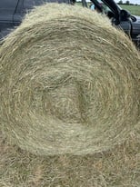  2022 round bales of hay 