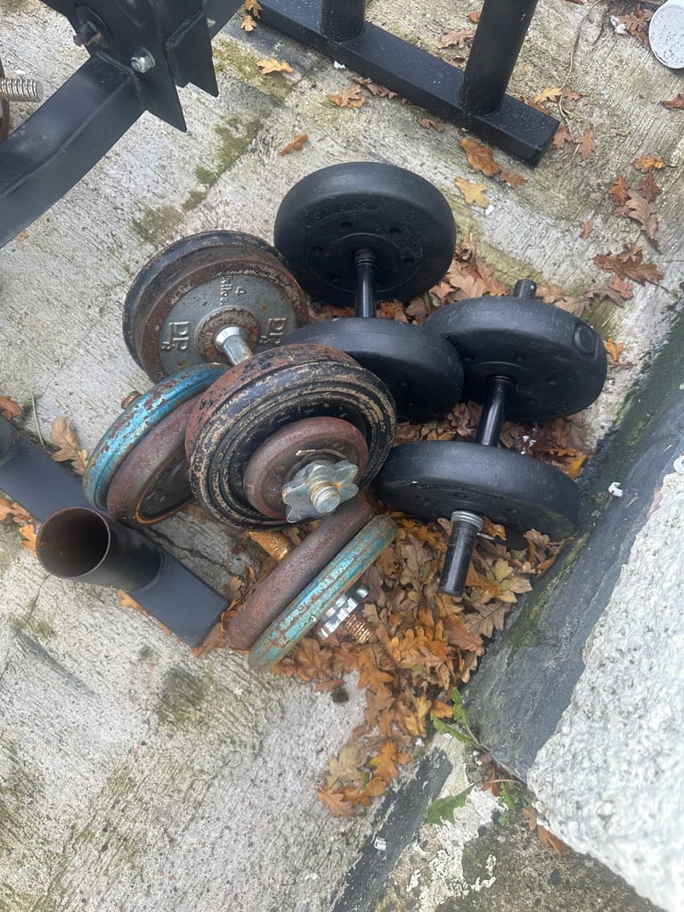 Cast iron free weight home gym 