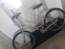 Ideal Project.. Adults cruiser style bike (read ad)