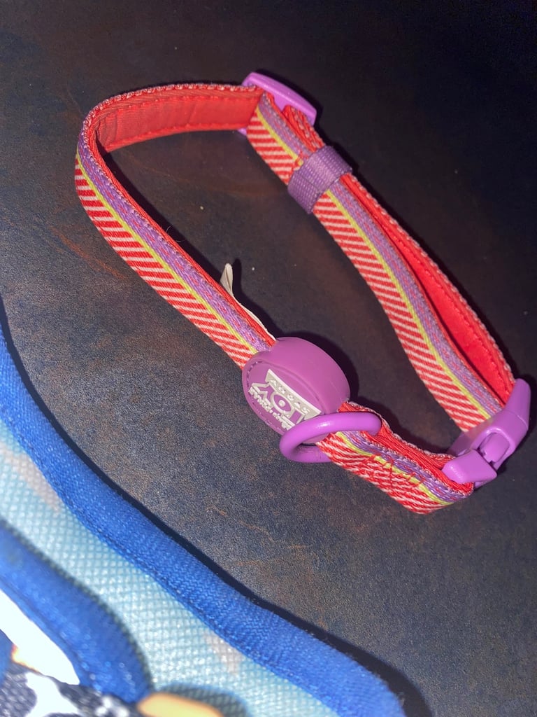 Toy Story Dog Harness Bundle