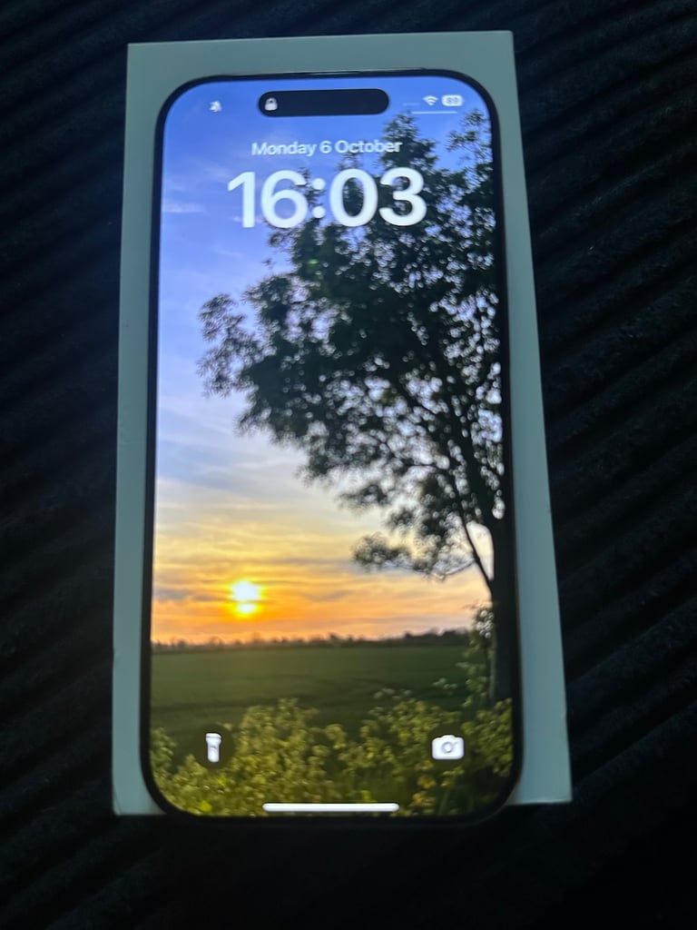 Apple iPhone 16 pro 256gb immaculate 