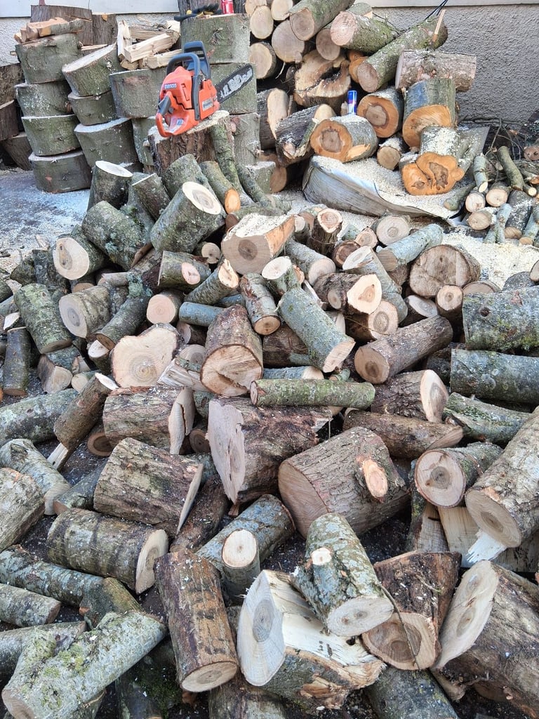 Woodburning logs 