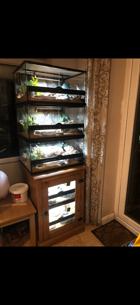 Reptile vivarium setups exo terra full setups