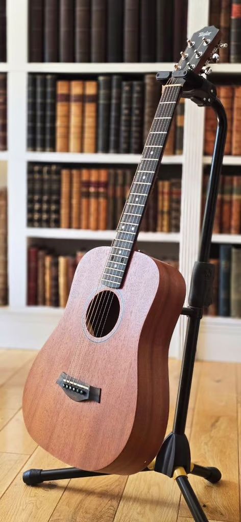 Taylor BT2 guitar with gig-bag in lovely condition with rich sound.