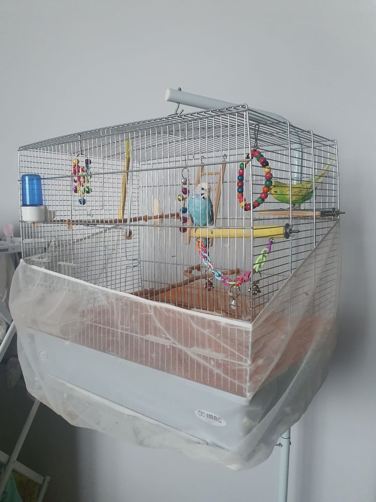 Bird cage / Toys / all what you need 