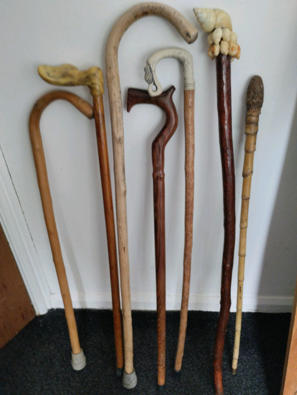 image for Walking sticks 