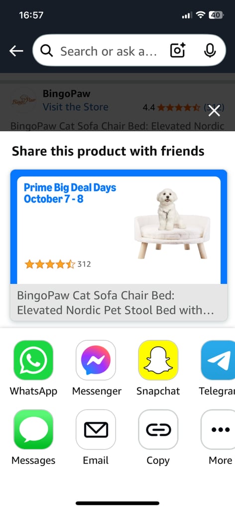 Cat sofa bed