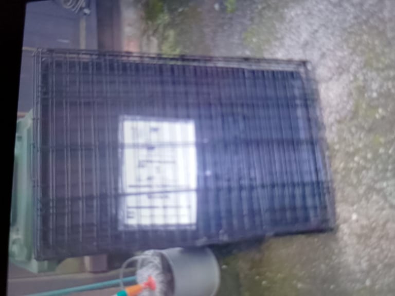 Large Dog Cage