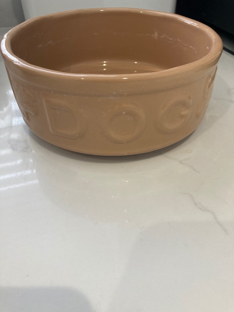 2 x Mason Cash ceramic dog bowls 