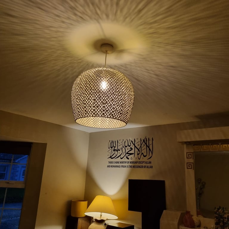 image for Two Lamp shades 