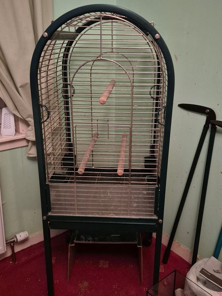 Large bird cage