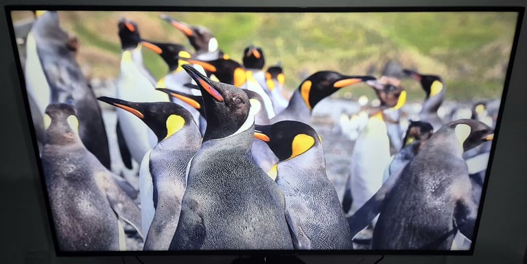 image for Vestel 65" UHM65UH82/4 4K UHD HDR10 LED Monitor/TV