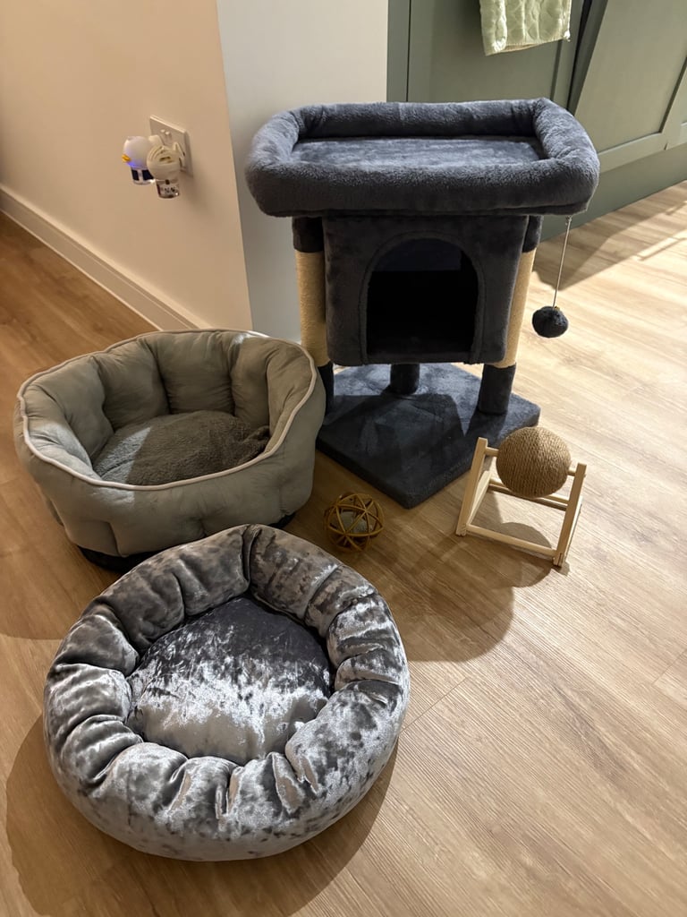 Cat scratcher house, 2 beds & 2 toys never used