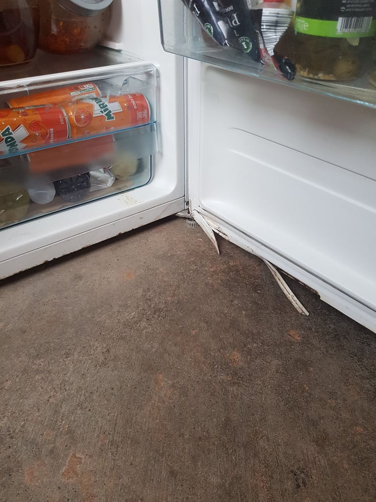 Frige tall standing £120.00 ono