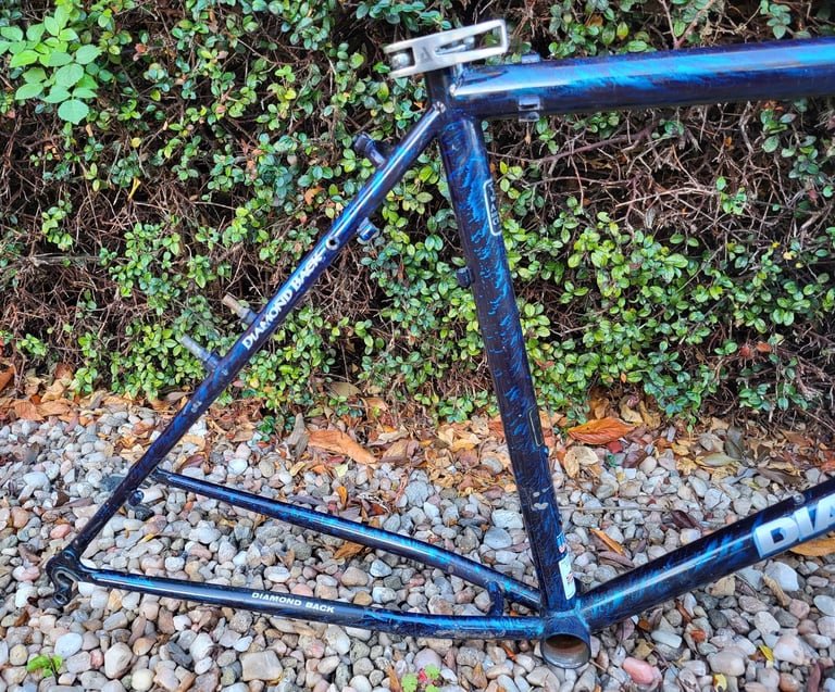 Diamond Back Ascent retro 1990s mountain bike frame and forks.