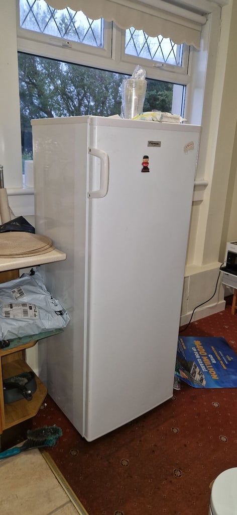 Freezer - tall standing freezer