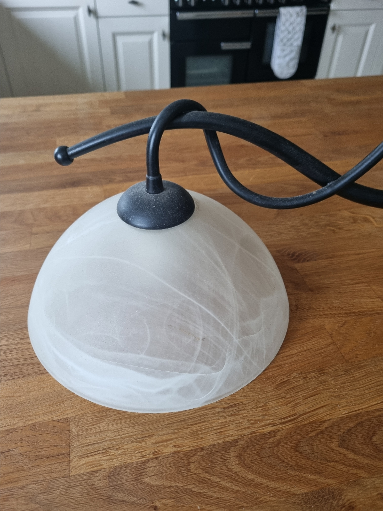 Stunning contemporary 2 light ceiling light