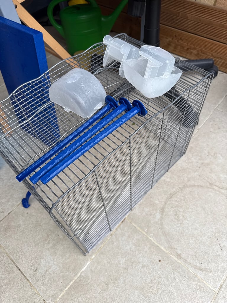 Free budgie cage  