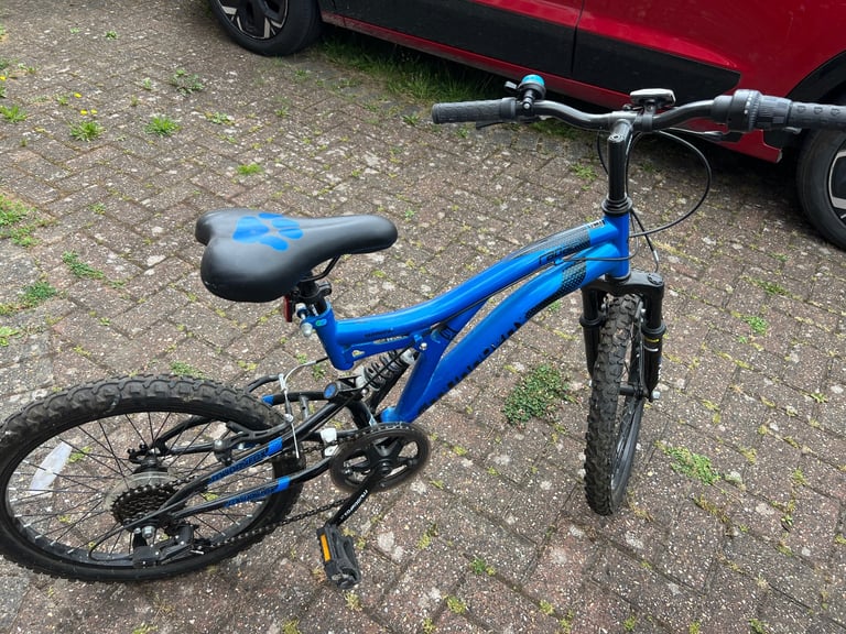 image for Bike 20”