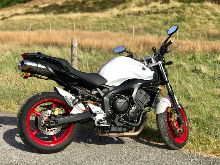 Yamaha, FZ 6, 2008, 599 (cc)