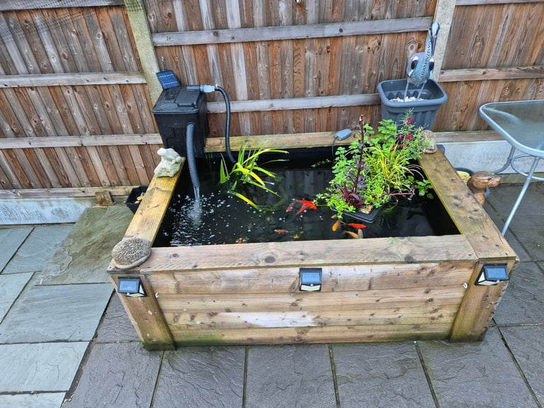 Patio raised garden pond