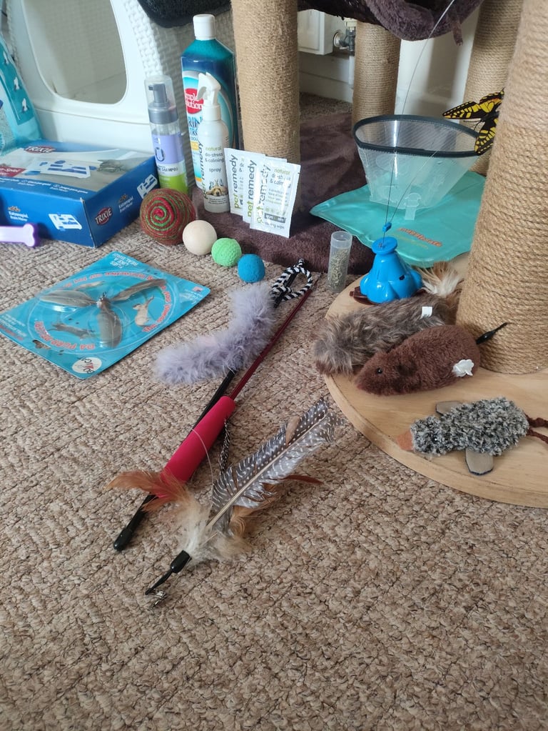 Huge Bundle of Equipment for Cats! Very good condition!