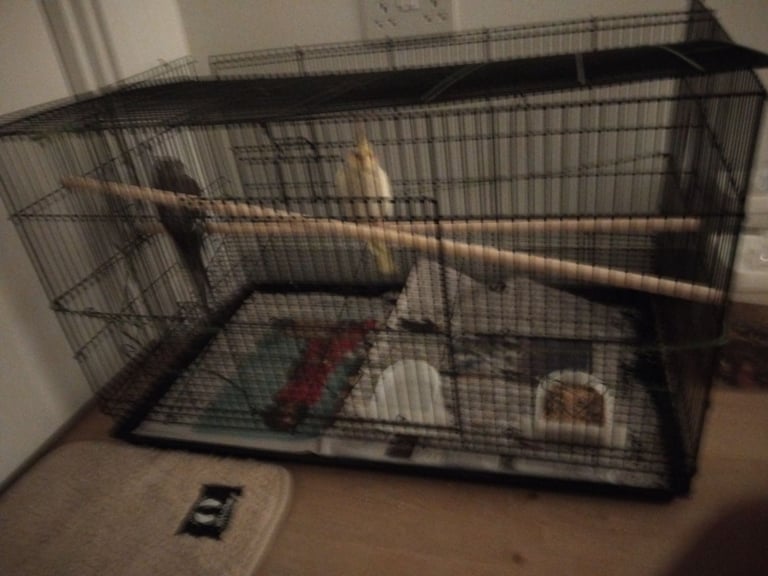 2 cocktail for sale grey and yellow  