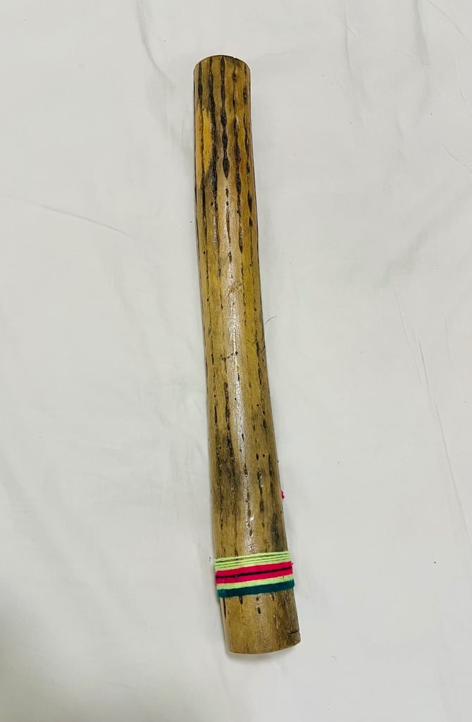 image for 🌧️ Cactus Rain Stick – Excellent Condition – £20