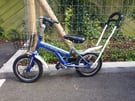 a.n. design works taronga bikes 14 inches from 4 to 6 years old fullyu