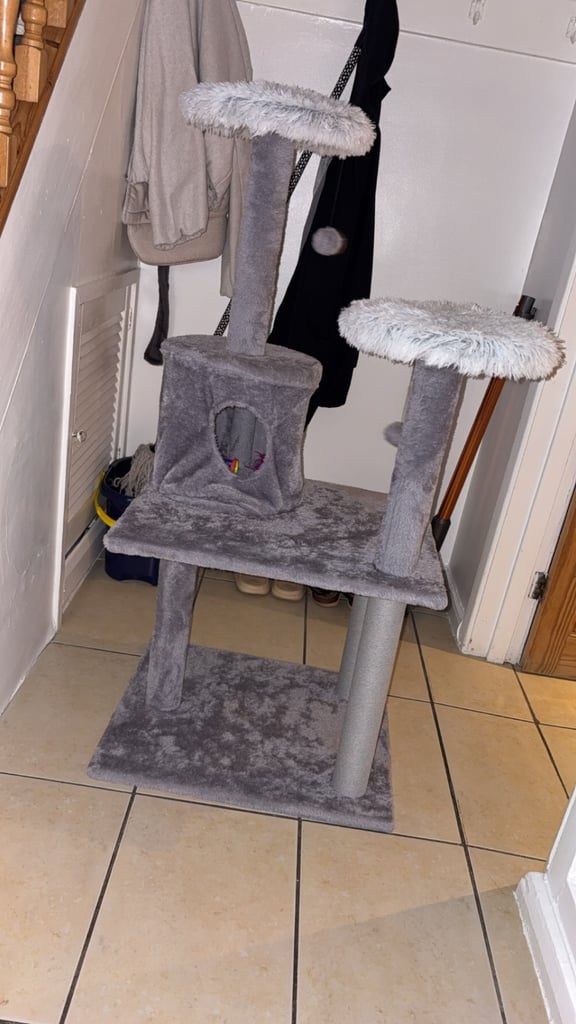 * BRAND NEW* cat scratch play post 