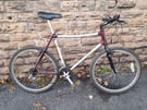 Raleigh Dyno Tec Voyager Curve Special Division Mountain Bike