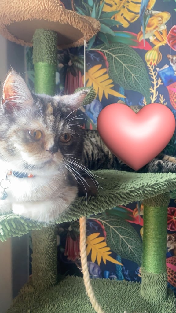 Beautiful exotic girl