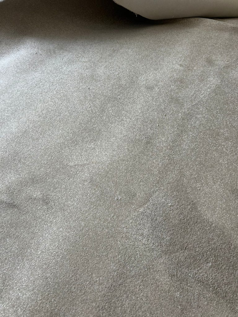 image for NEW!! Carpet!! NEW!!