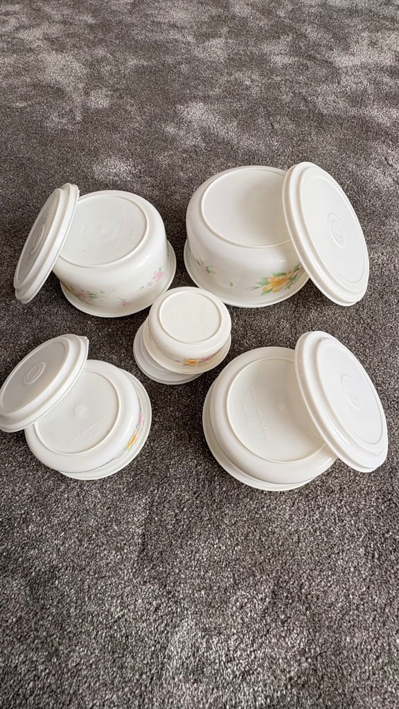 Set of 5 food storage containers