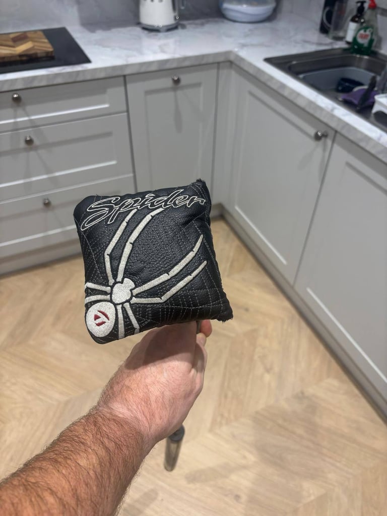 Taylor made spider tour black putter