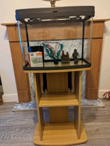 40Ltr fish tank and extras 