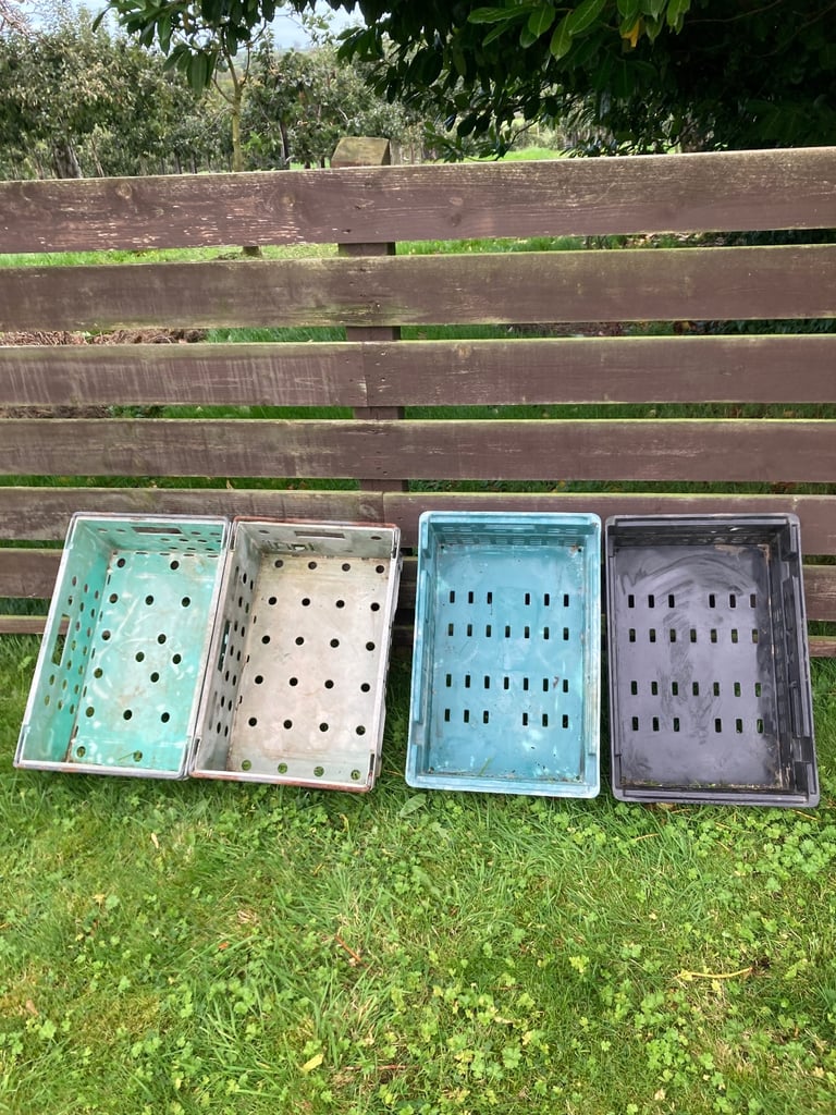 Plastic storage trays.