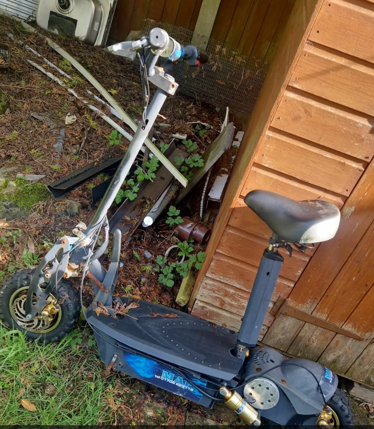 800w Electric scooter 