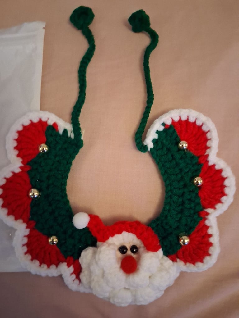 Christmas cat or small dog