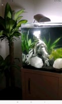 Nano cube fish tank aquarium, 15" X 15" X 17" with cupboard stand